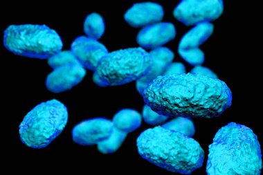 Bordetella pertussis bakterisi siyah zemin üzerinde izole edilmiş, 3 boyutlu illüstrasyon. Gram-negatif coccobacilli bakterisi çocukların boğmaca enfeksiyonuna neden olur.