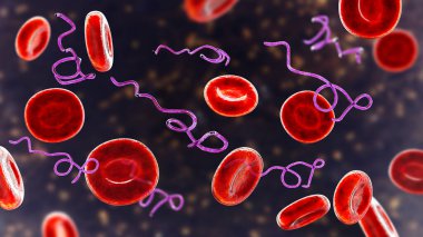 Kanda Borrelia bakterisi, 3 boyutlu illüstrasyon. Lyme hastalığının ve tekrar ateşlenmenin sebebi.