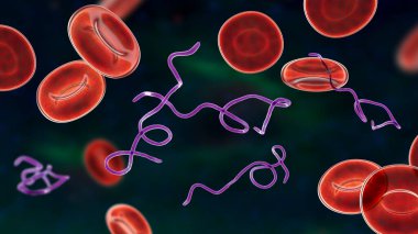 Kanda Borrelia bakterisi, 3 boyutlu illüstrasyon. Lyme hastalığının ve tekrar ateşlenmenin sebebi.