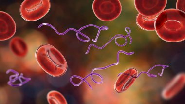 Kanda Borrelia bakterisi, 3 boyutlu illüstrasyon. Lyme hastalığının ve tekrar ateşlenmenin sebebi.