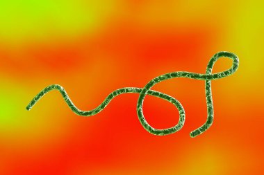 Renkli arka planda Borrelia bakterisinin 3 boyutlu çizimi. Tekrar ateşlenmeye ve Lyme hastalığına neden olan bakteriler