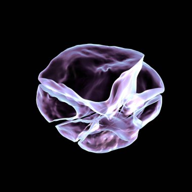 Patella multifragmente fraktür, 3D illüstrasyon gösteriyor ki diz kapağı parçacıkları yanlış hizalanmış, diz dengesi ve fonksiyon bozukluğu.