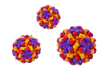 Domates çalısı dublör virüsleri, 3 boyutlu illüstrasyon. Bitki patojenleri gelişmemiş büyümeye, yaprakların sararmasına ve enfekte olmuş domateslerin verimliliğinin azalmasına neden oluyor..