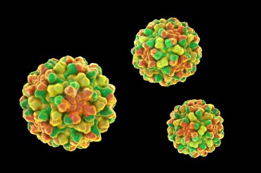 Domates çalısı dublör virüsleri, 3 boyutlu illüstrasyon. Bitki patojenleri gelişmemiş büyümeye, yaprakların sararmasına ve enfekte olmuş domateslerin verimliliğinin azalmasına neden oluyor..