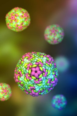 Enterovirüsler, küresel, zarfsız RNA virüslerini gösteren 3 boyutlu illüstrasyon. Menenjit, miyokardit, el-ayak-ağız hastalığı gibi hastalıklardan sorumlu..