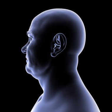 Silüet, kenar görüş, siyah arkaplanda anatomik çizgiler ve yapısal özellikler gösteren üç boyutlu illüstrasyon..