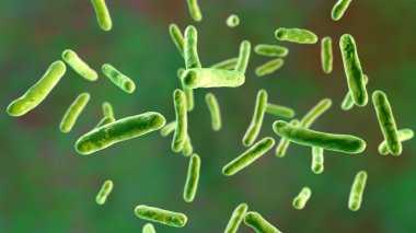 Niallia tiangongensis bakterisi, Çin 'in Tiangong istasyonunda bulunan ve mikro yerçekiminde spor ve biyofilmler oluşturan 3 boyutlu bakteri çizimi..