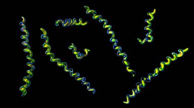 Treponema pallidum, spiral şekilli bakterinin ayrıntılı morfolojiyle gösterilen frengiye neden olan üç boyutlu çizimi.