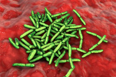 Escherichia albertii bakterisi, 3 boyutlu illüstrasyon. Besin kaynaklı salgınlara bağlı gelişmekte olan bir gastrointestinal patojen hem insanlardan hem de kuşlardan izole edilmiştir..