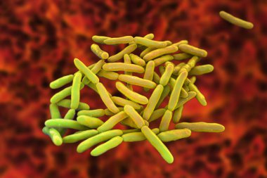 Escherichia albertii bakterisi, 3 boyutlu illüstrasyon. Besin kaynaklı salgınlara bağlı gelişmekte olan bir gastrointestinal patojen hem insanlardan hem de kuşlardan izole edilmiştir..
