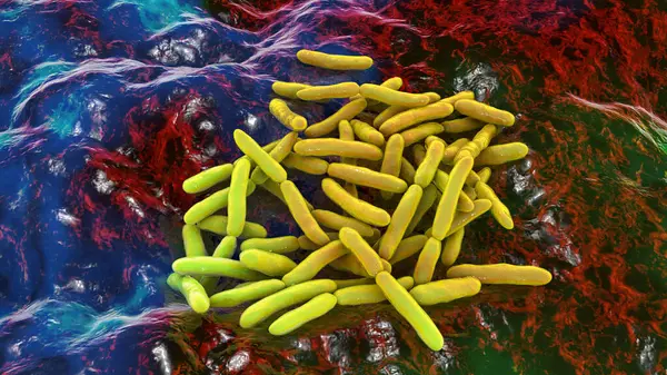 Escherichia albertii bakterisi, 3 boyutlu illüstrasyon. Besin kaynaklı salgınlara bağlı gelişmekte olan bir gastrointestinal patojen hem insanlardan hem de kuşlardan izole edilmiştir..