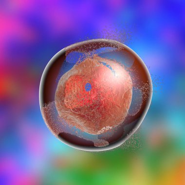 Hücre lizi. Bir hücrenin yok edilmesi. Uyuşturucu, mikrop, nanopartiküller, toksik maddeler veya apoptozun etkilerini göstermek için kullanılabilecek üç boyutlu illüstrasyon