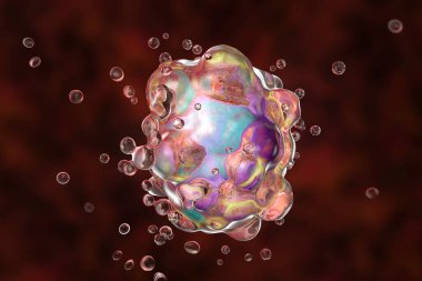 Hücre apopozu, çok hücreli organizmalarda meydana gelen programlanmış hücre imha süreci, hücresel morfolojideki değişiklikleri gösteren 3D çizim, bipleme, hücre küçülmesi