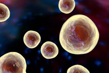 Hücrelerle dolu bir geçmiş. Renkli arka planda insan veya hayvan hücreleri, 3 boyutlu resimleme