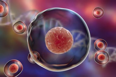 DNA 'lı bir arka planda insan veya hayvan hücresi, 3 boyutlu illüstrasyon