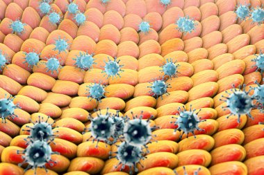 İnsan hücrelerini etkileyen virüsler, 3 boyutlu çizimler. Virüs enfeksiyonunun patojeni için kavramsal görüntü