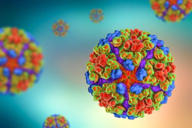 Chikungunya virüsü, 3 boyutlu illüstrasyon. Togaviridae familyasından gelen sivrisinek kaynaklı RNA virüsü kireçlenme benzeri salgınlara neden olabilir.