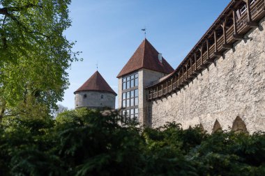 Estonya 'daki Saaremaa adasında uzakta Sorve Deniz feneri olan küçük bir iskelet.