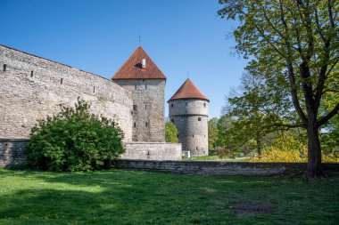 Tallinn 'deki şehir duvarı ve savunma kulelerinin bir kısmı.