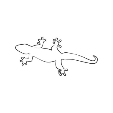 Lizard reptile continuous line art drawing, Lizard reptile one line art drawing, Gecko