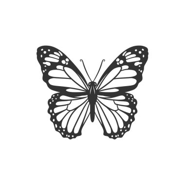 Beauty butterfly line art illustration black and white, Cute butterfly line art
