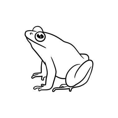 Frog line art drawing illustration, Cute frog outline black and white line art
