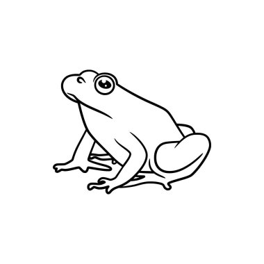 Frog line art drawing illustration, Cute frog outline black and white line art