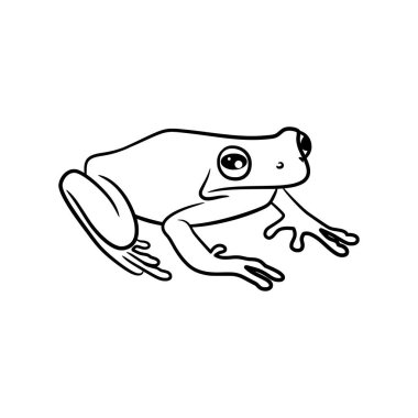 Frog line art drawing illustration, Cute frog outline black and white line art