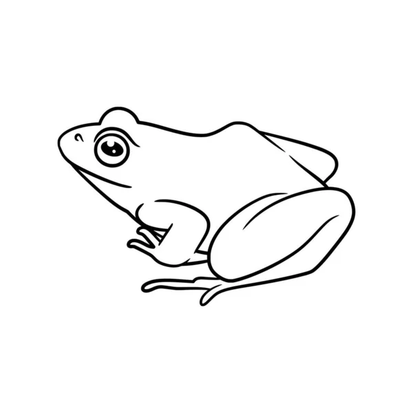 Frog Line Art Drawing Illustration Cute Frog Outline Black White —  Vetores de Stock