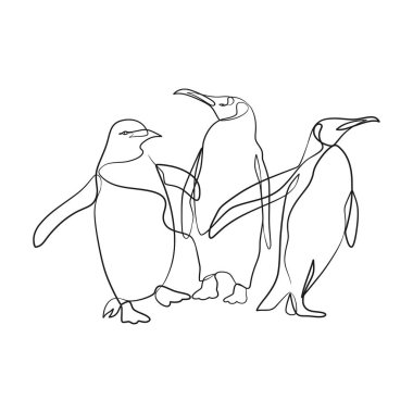 Penguin continuous one line art drawing, Single line art drawing of penguin, wildlife animal