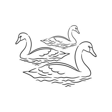 swan line art drawing illustration, swan black and white line art, wildlife animal
