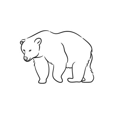 Bear line art drawing illustration, Bear line art black and white