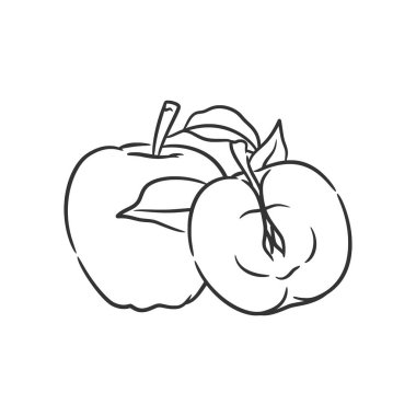 Apple line art vector illustration, Coloring book of healthy fruit