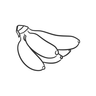 Banana line art vector illustration, Coloring book of healthy fruit. Banana fruit