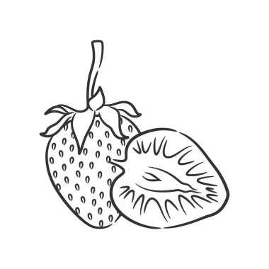 Strawberry Line Art Vector illustration. Coloring book of Healthy Berry Black and White