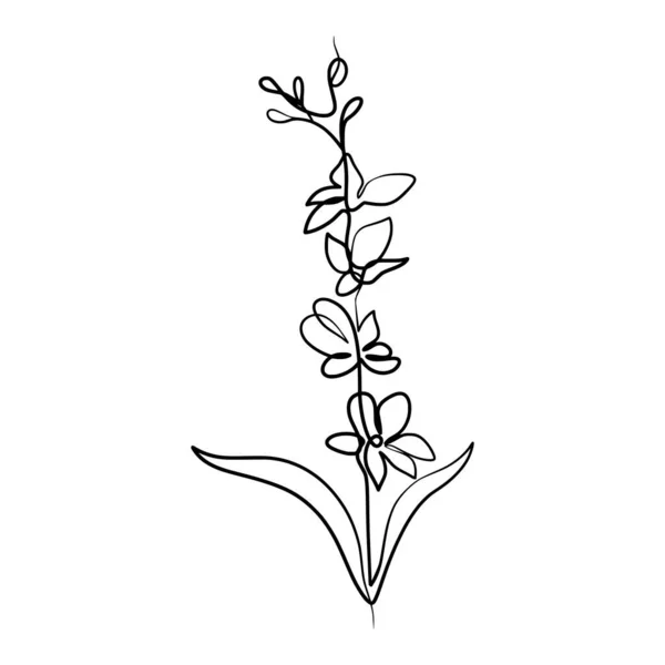 Ciągły Jeden Wiersz Sztuki Rysunek Kwiat Orchidei Piękna Ręcznie Rysowane — Wektor stockowy