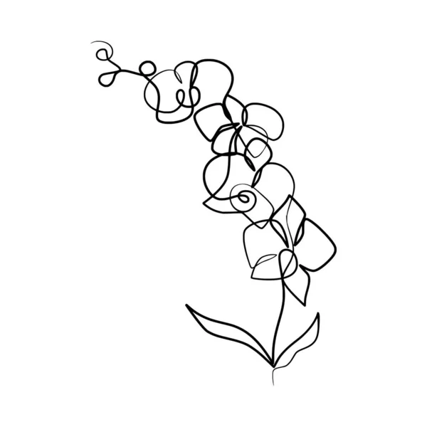 Ununterbrochene Einzeilige Kunstzeichnung Der Schönheit Orchideenblume Hand Gezeichnete Einzeilige Orchideenblumen — Stockvektor