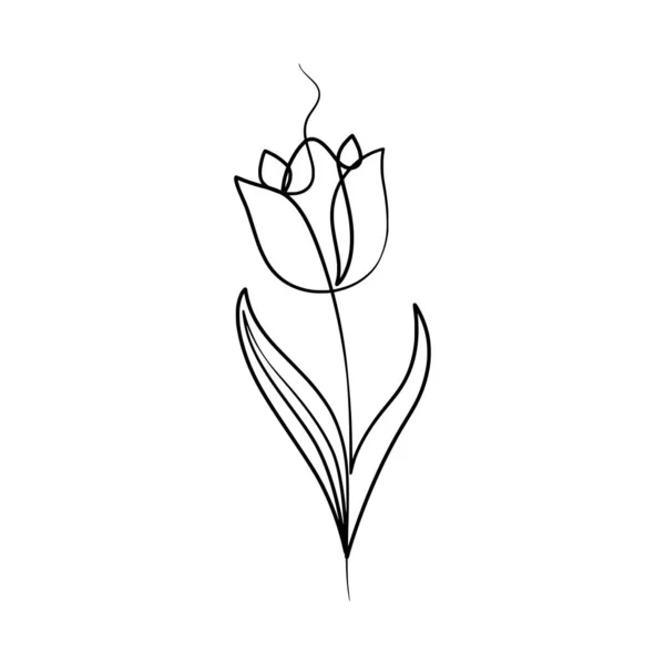 Kontinuierliche Einzeilige Kunstzeichnung Der Schönheit Tulpen Blume Hand Gezeichnet Einzeilige — Stockvektor