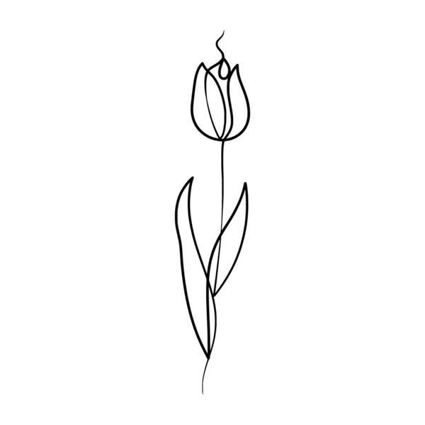 Nepřetržitý Jeden Řádek Kresba Krásy Tulipánů Květ Ručně Kreslené Jednořádkové — Stockový vektor