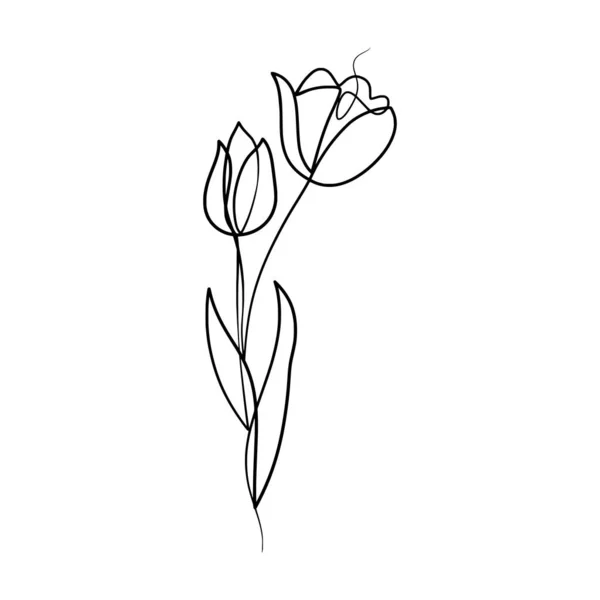 Непрерывная Одна Линия Рисунок Красоты Тюльпаны Цветок Нарисованные Вручную Одной — стоковый вектор
