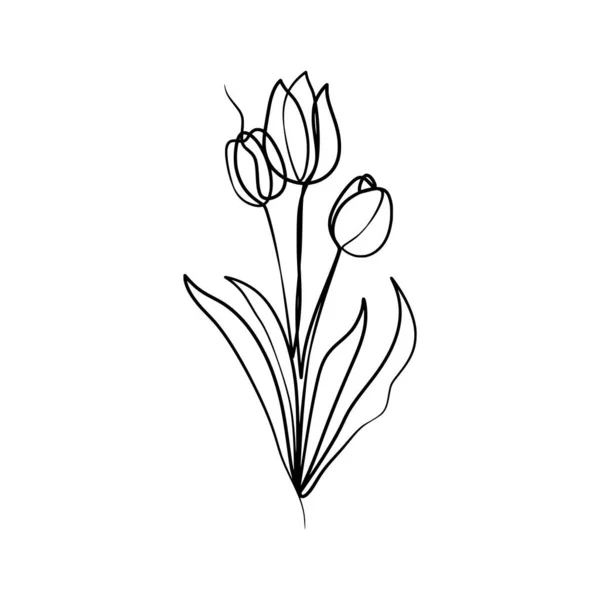 Dessin Art Continu Une Ligne Fleur Tulipes Beauté Fleurs Tulipes — Image vectorielle