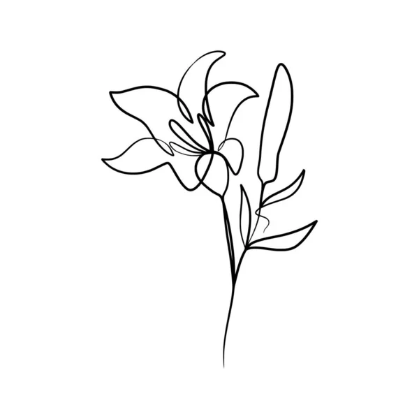 Ciągły Jeden Wiersz Sztuki Rysunek Piękna Lilia Kwiat Ręcznie Rysowane — Wektor stockowy