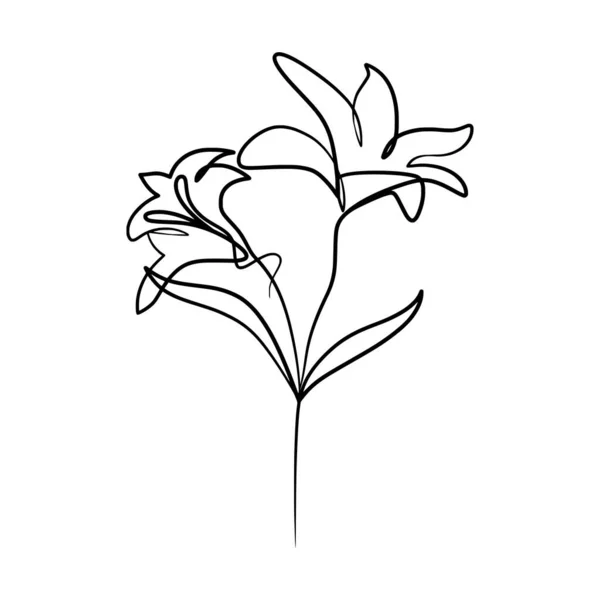 Güzel Zambak Çiçeğinin Aralıksız Bir Çizgisi Çizimi Zambak Çiçekleri — Stok Vektör