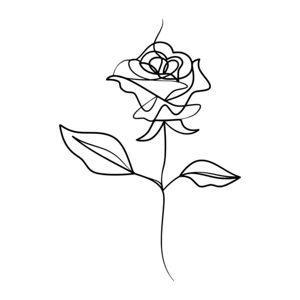 Continuous One Line Art Drawing Beauty Rose Flower Hand Drawn — Stock Vector