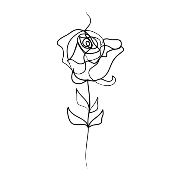 Nepřetržitý Jeden Řádek Kresba Krásy Růžové Květy Ručně Kreslené Jednořádkové — Stockový vektor