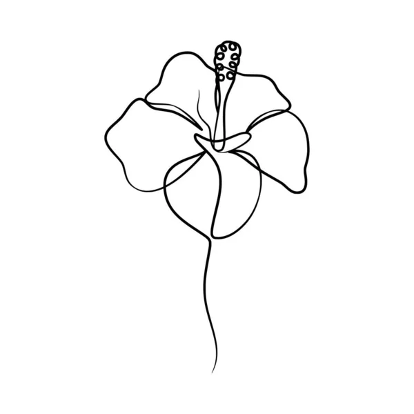 Güzellik Çiçeğinin Aralıksız Çizimi Çizimi Tek Çizgi Amber Çiçekleri — Stok Vektör