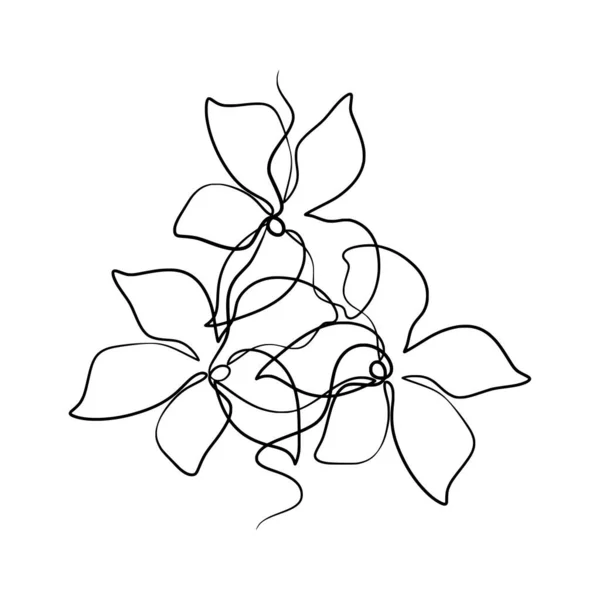 Güzel Yasemin Çiçeğinin Aralıksız Çizimleri Yasemin Çiçeklerinin Tek Çizgileri — Stok Vektör