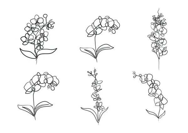 美しい蘭の花の連続一本の線画 手描き一本の蘭の花 — ストックベクタ