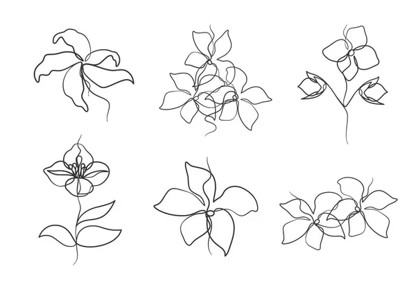 連続一本の線画の美しさジャスミンの花 手描きのシングルラインジャスミンの花 — ストックベクタ