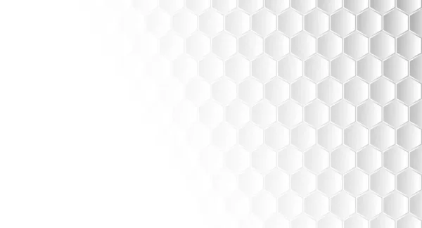 抽象的な幾何学的な形 六角形の背景 白および灰色の蜂蜜幾何学的な質 — ストックベクタ